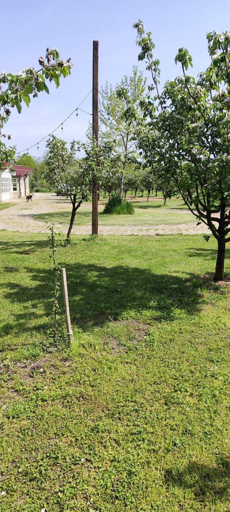 Salas Farma 47-Miris Dunja Cenej Екстер'єр фото