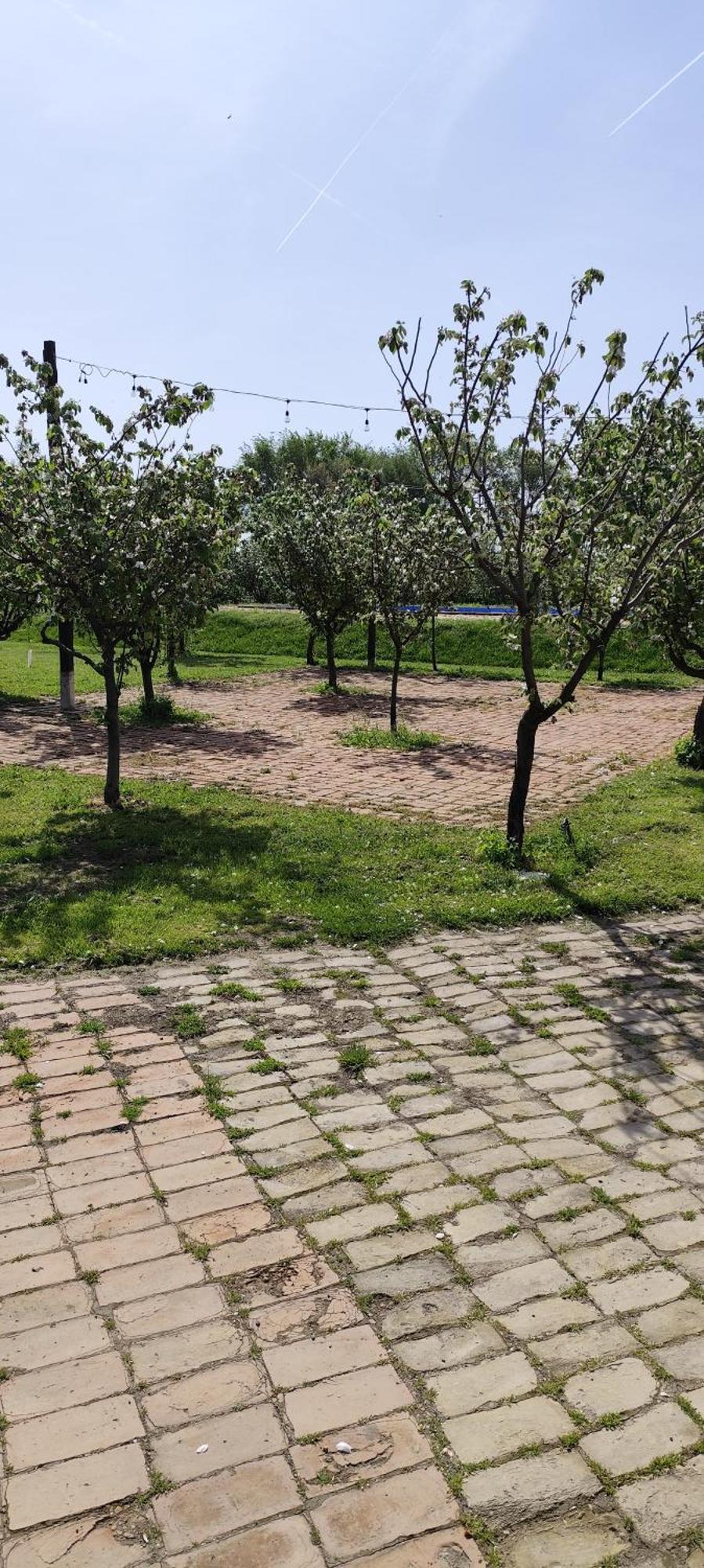 Salas Farma 47-Miris Dunja Cenej Екстер'єр фото