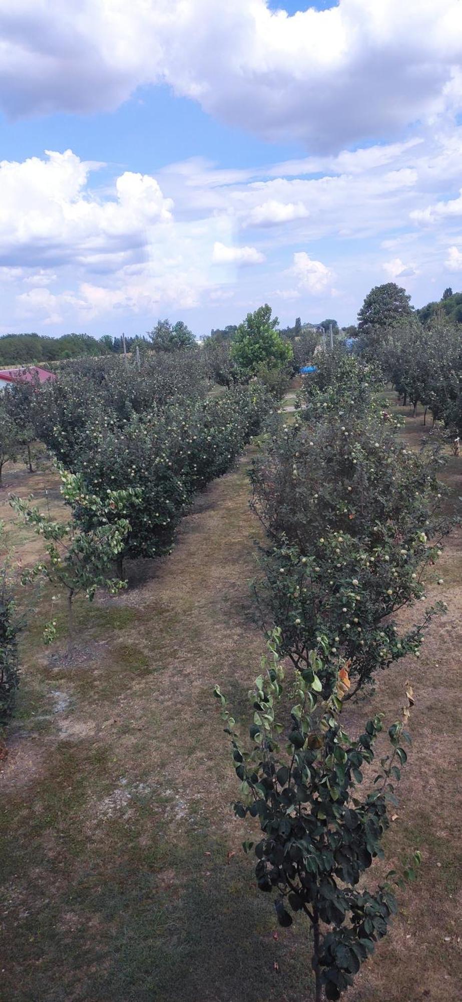 Salas Farma 47-Miris Dunja Cenej Екстер'єр фото